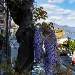 La Dimora Del Glicine Appartamento Belgirate