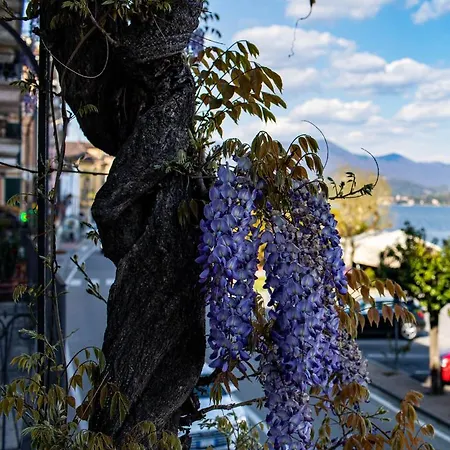 La Dimora Del Glicine Lägenhet Belgirate